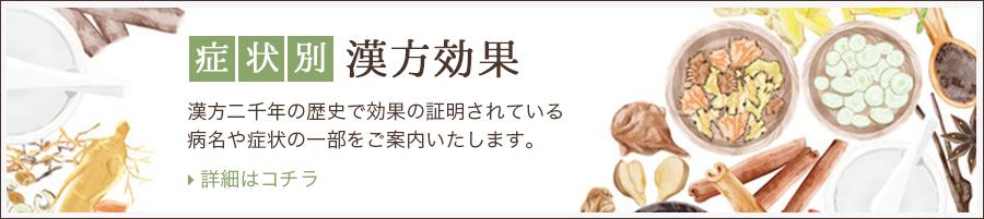 症例別漢方効果　漢方二千年の歴史で効果の証明されている病名や症状の一部をご案内いたします。